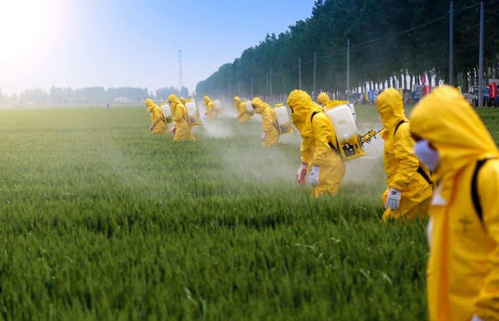 pesticidas
