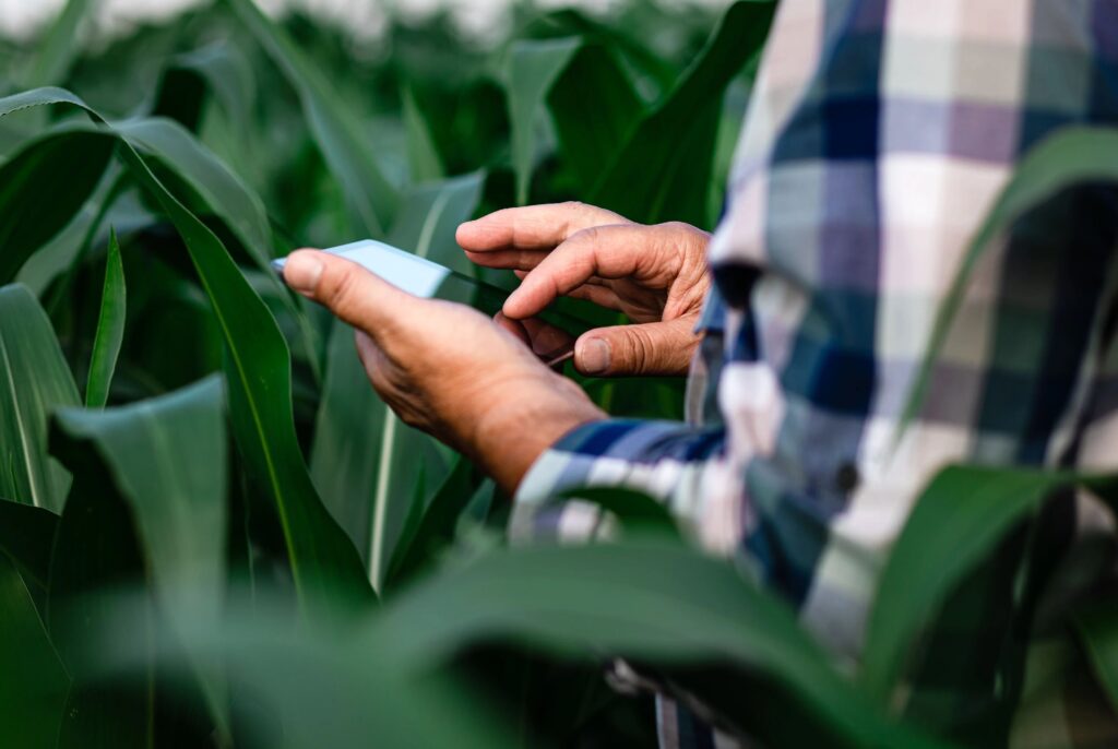 Agricultura